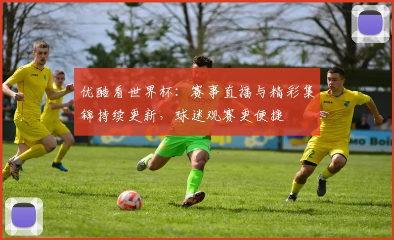 优酷看世界杯:赛事直播与精彩集锦持续更新,球迷观赛更便捷